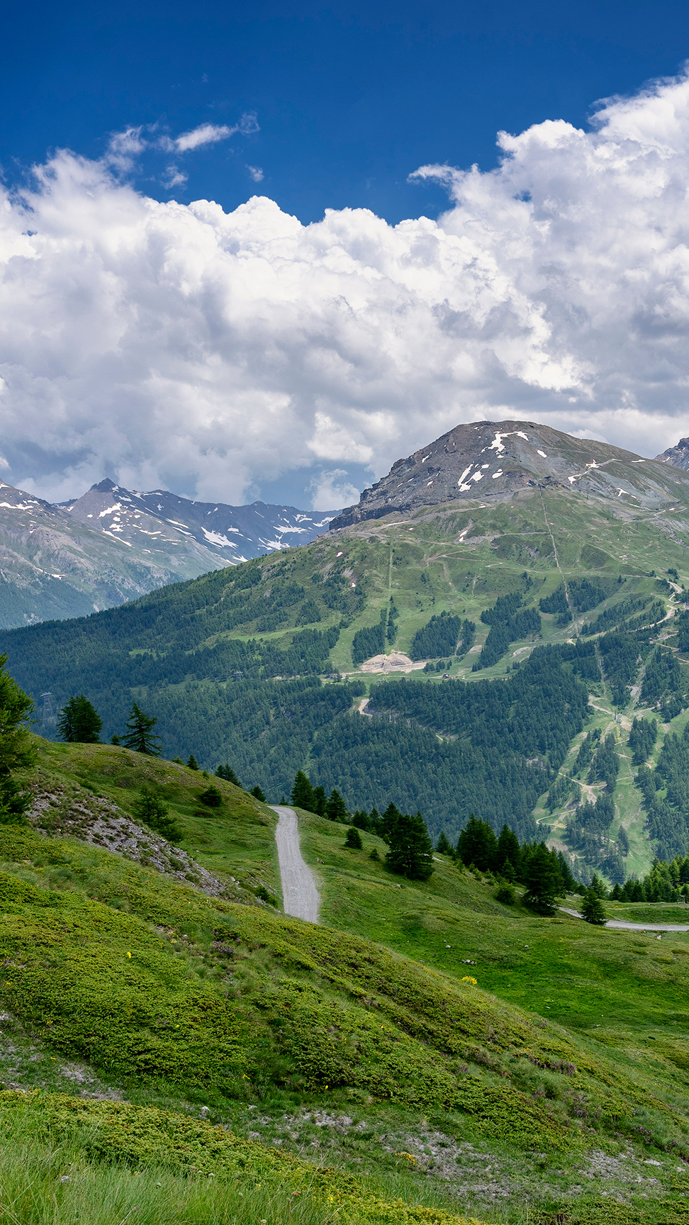 Malerische Straße unter blauem Himmel entlang der Mittelmeerküste im französisch-italienischen Grenzgebiet.